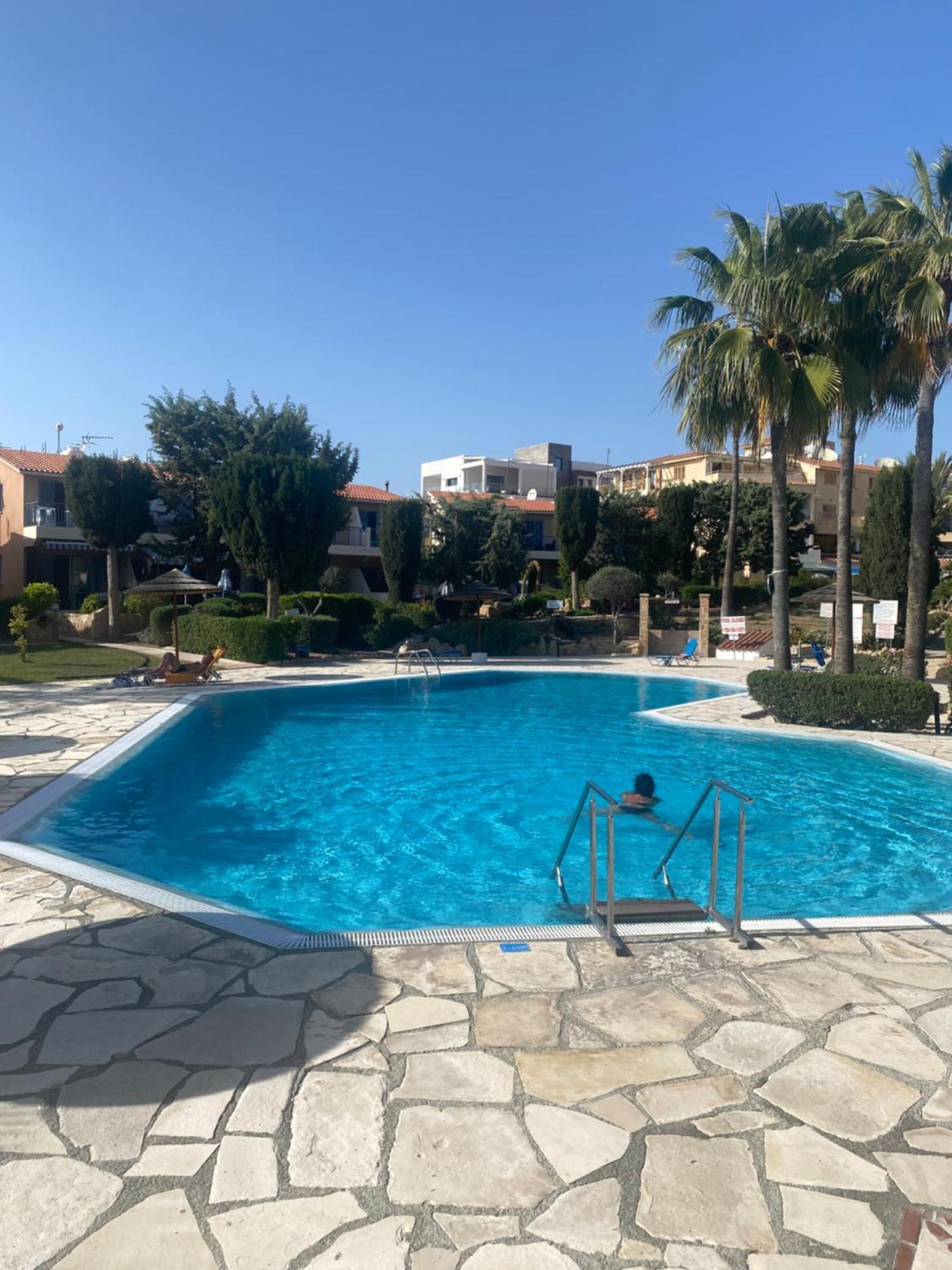 Newly Renovated- Regina Gardens 1, Venus Beach 500 M, Sea&Sunsets View, License Ooo7141 بافوس المظهر الخارجي الصورة