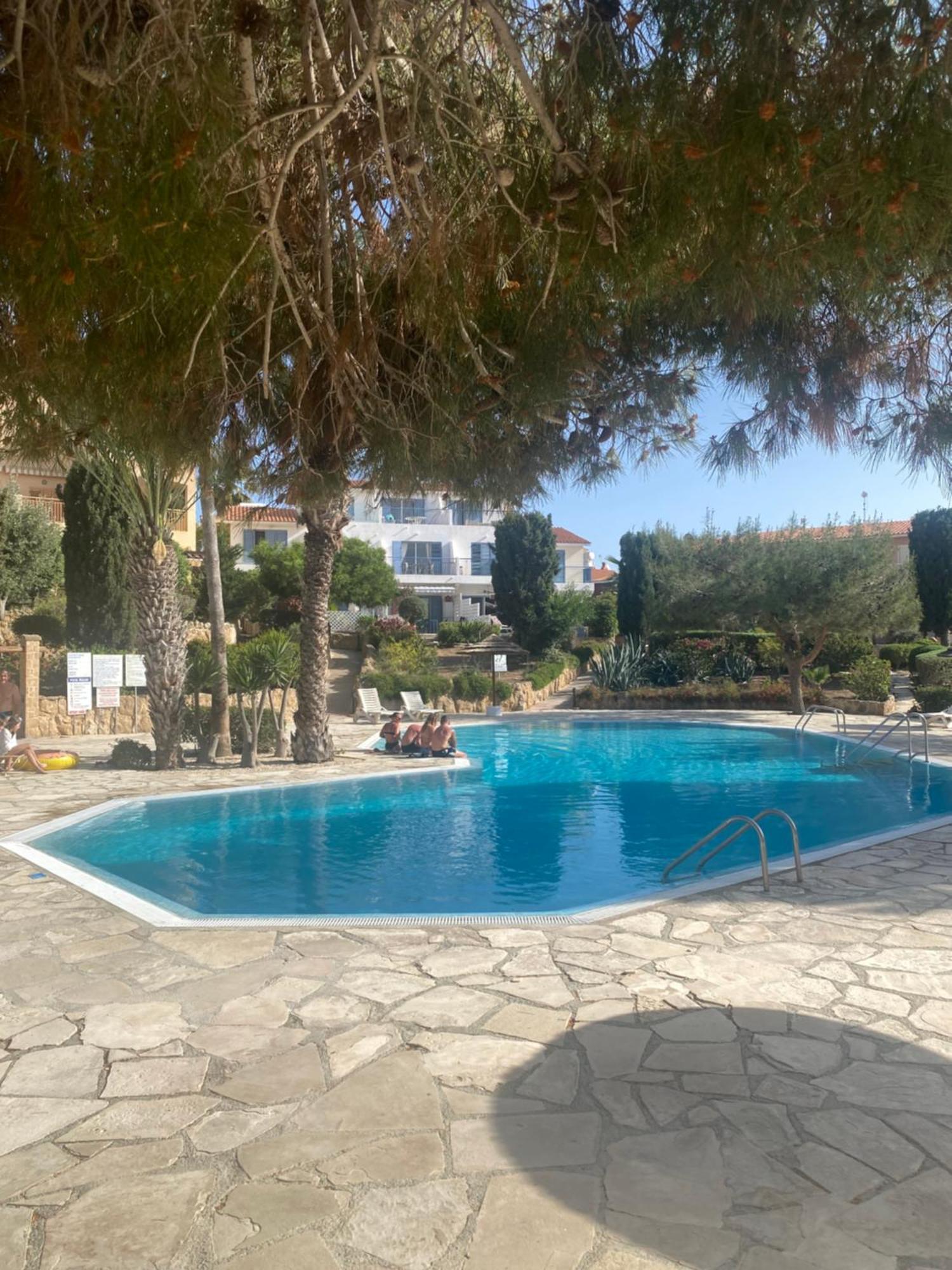 Newly Renovated- Regina Gardens 1, Venus Beach 500 M, Sea&Sunsets View, License Ooo7141 بافوس المظهر الخارجي الصورة
