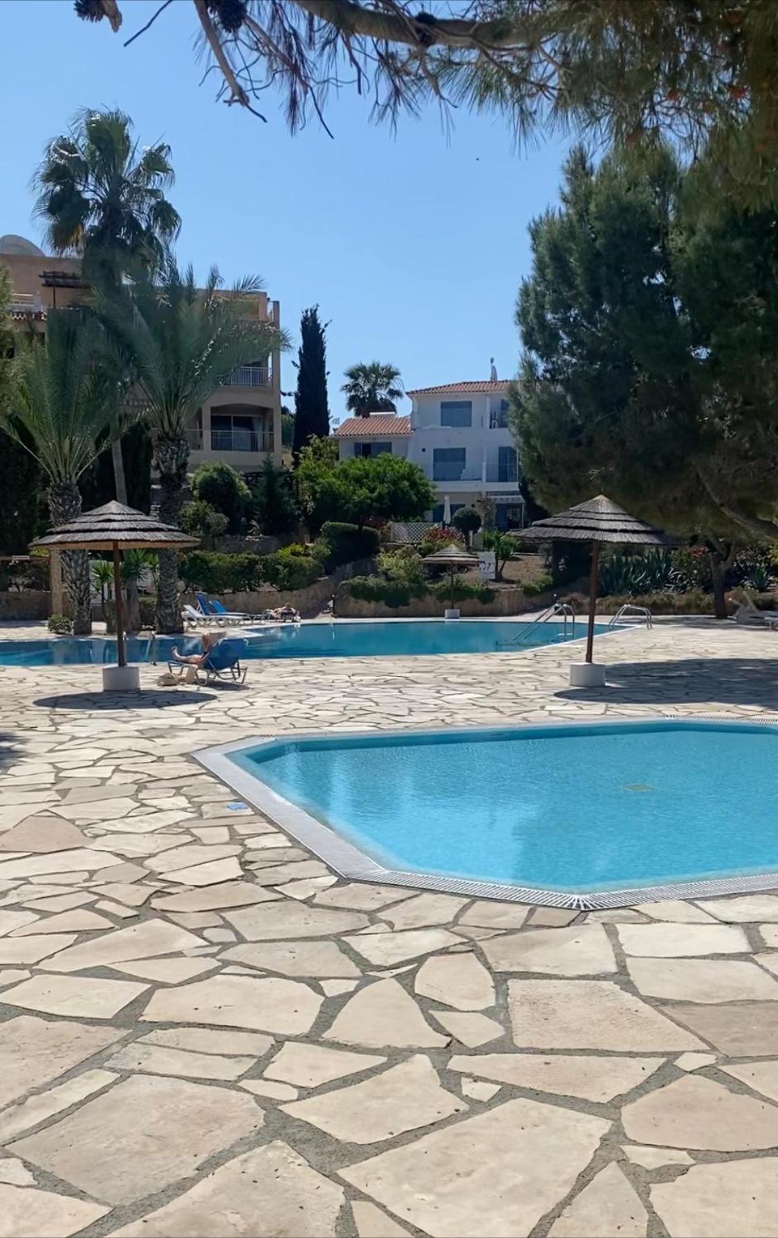 Newly Renovated- Regina Gardens 1, Venus Beach 500 M, Sea&Sunsets View, License Ooo7141 بافوس المظهر الخارجي الصورة
