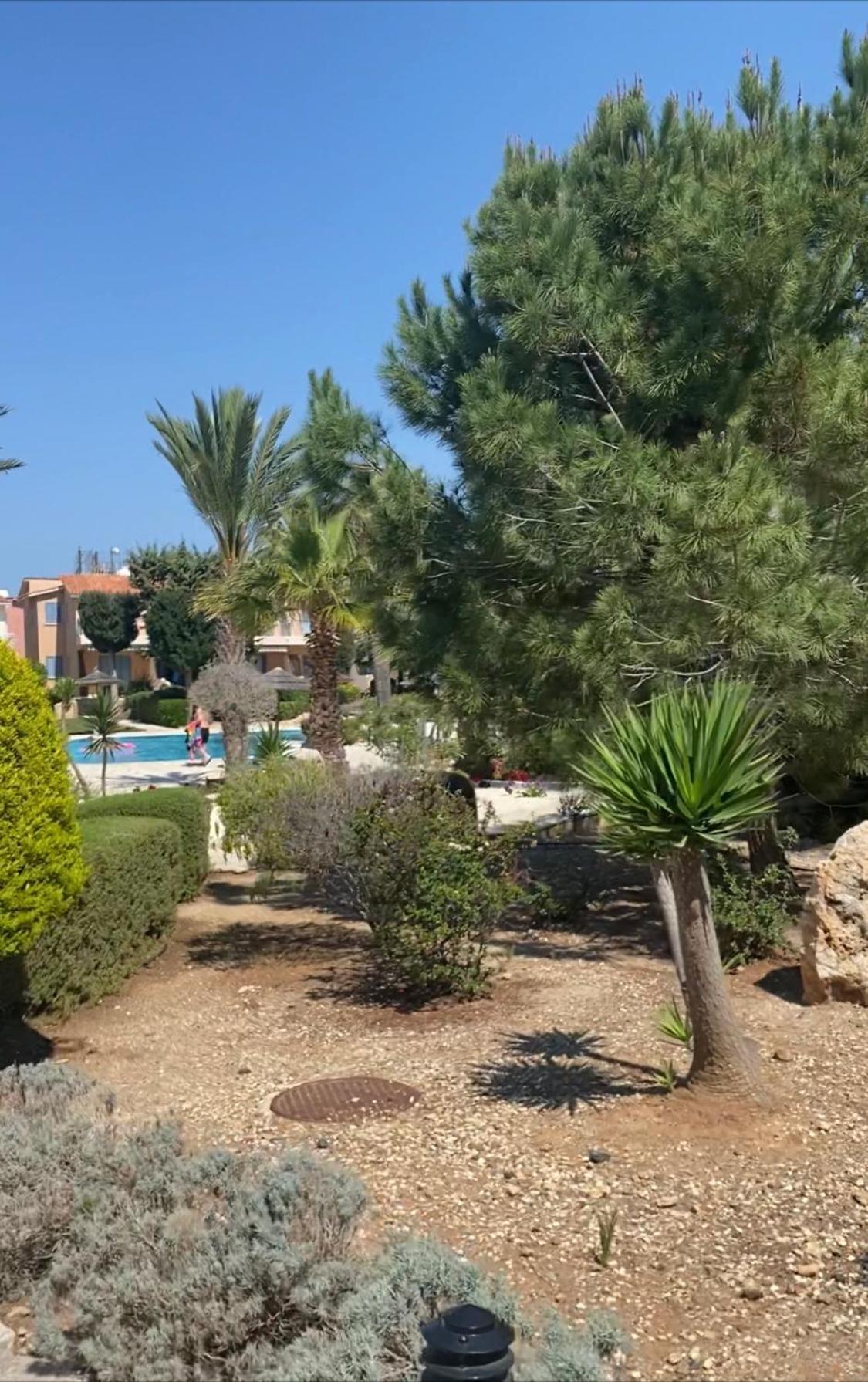 Newly Renovated- Regina Gardens 1, Venus Beach 500 M, Sea&Sunsets View, License Ooo7141 بافوس المظهر الخارجي الصورة
