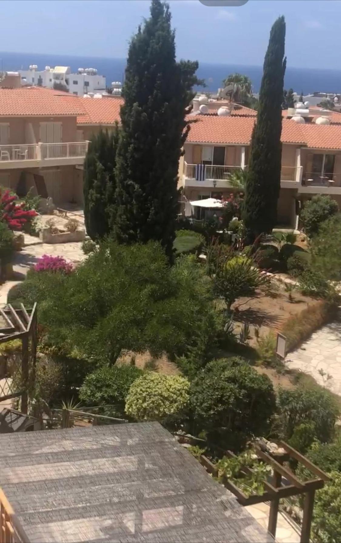 Newly Renovated- Regina Gardens 1, Venus Beach 500 M, Sea&Sunsets View, License Ooo7141 بافوس المظهر الخارجي الصورة