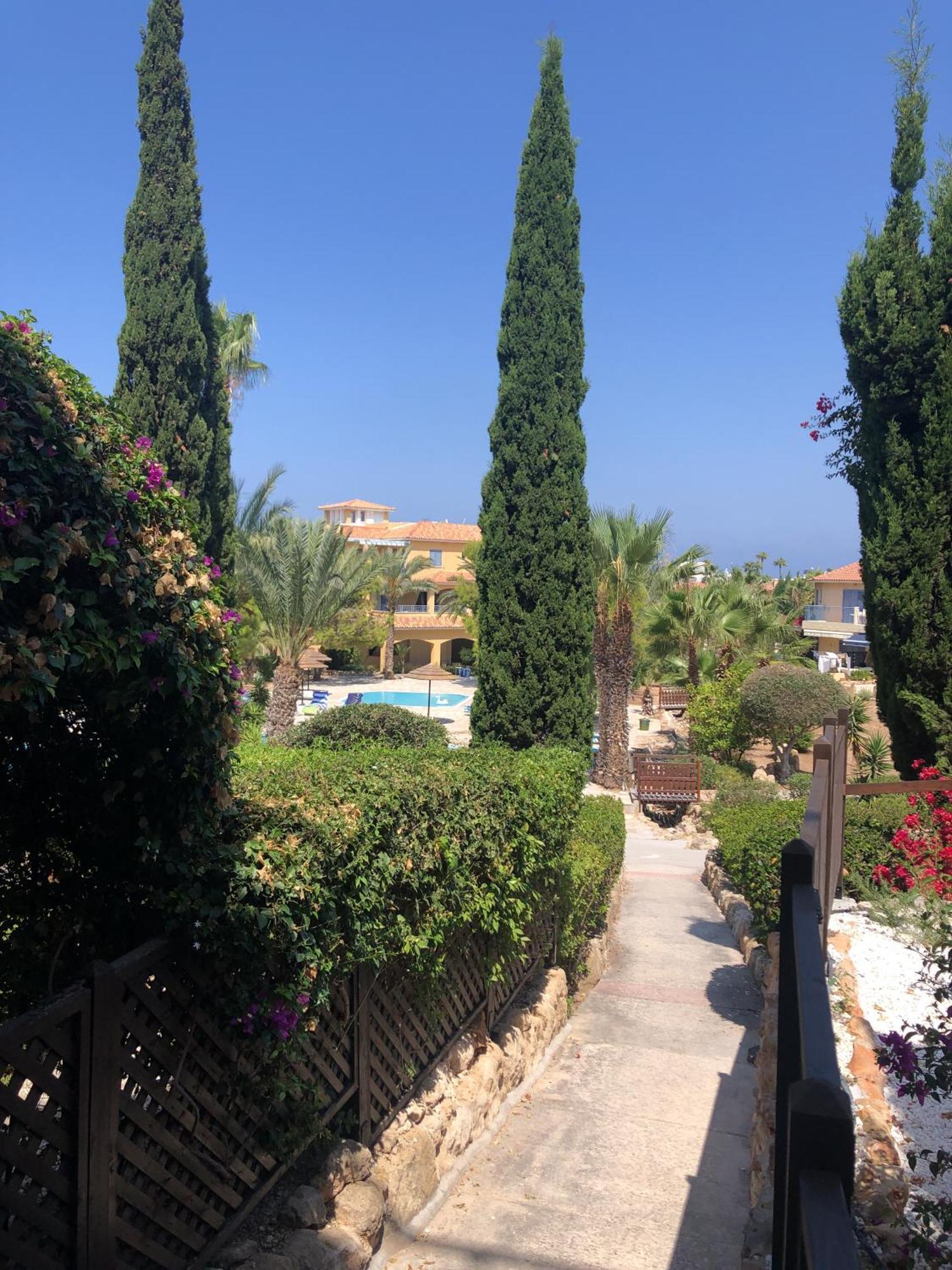 Newly Renovated- Regina Gardens 1, Venus Beach 500 M, Sea&Sunsets View, License Ooo7141 بافوس المظهر الخارجي الصورة